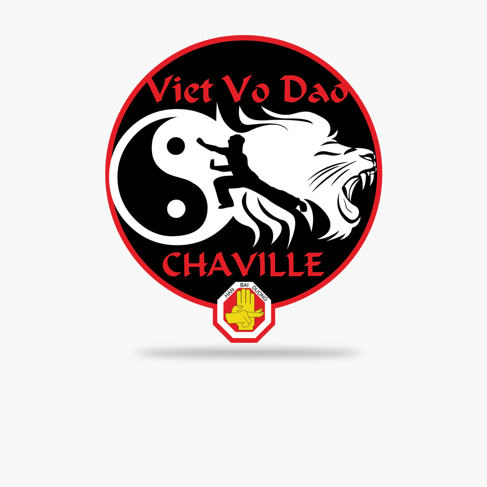 Viet Vo Dao 2017